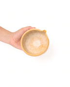 Rót kính Men Rạn